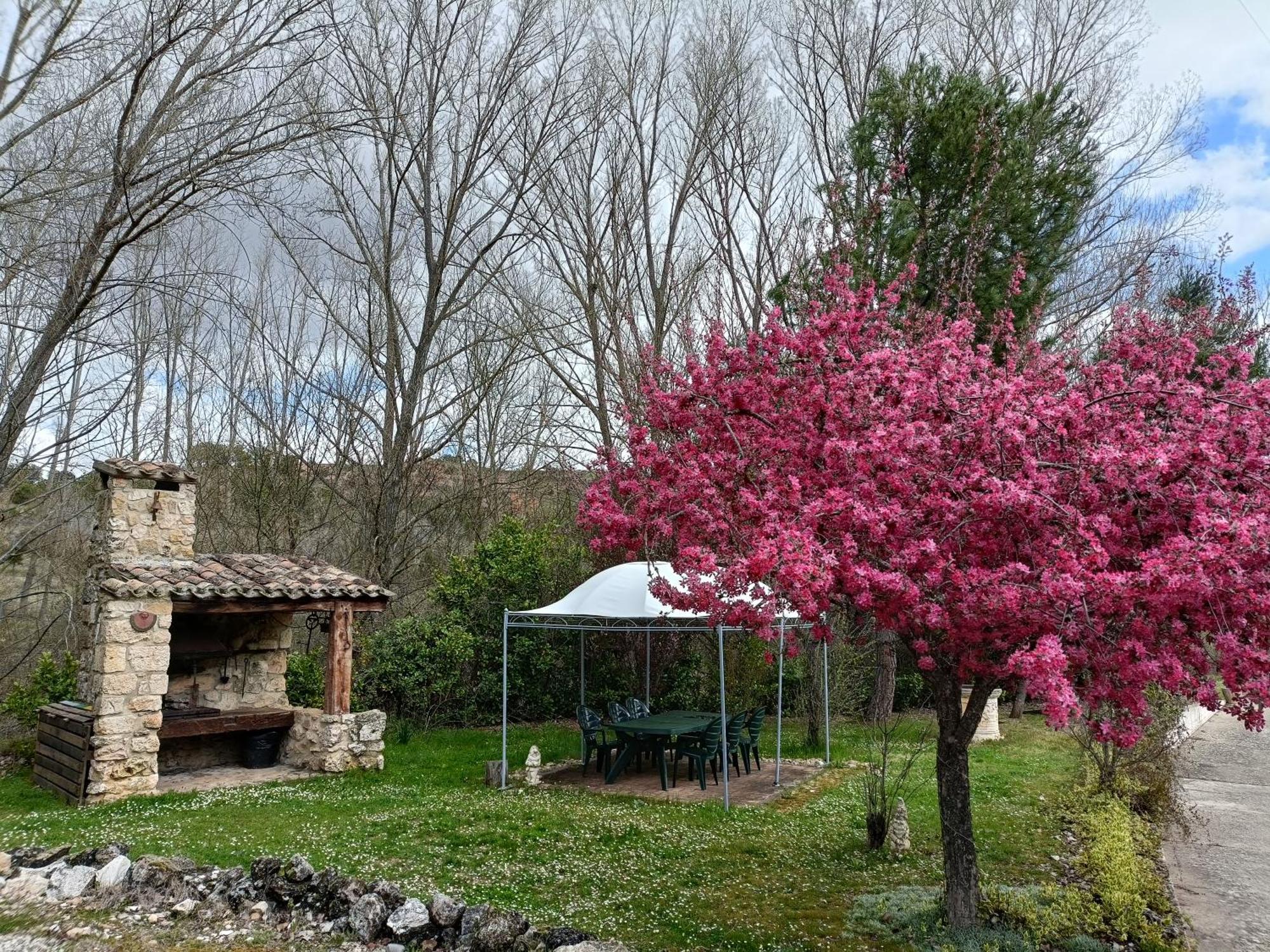 Finca Paraiso Rural Бурго-де-Осма Экстерьер фото