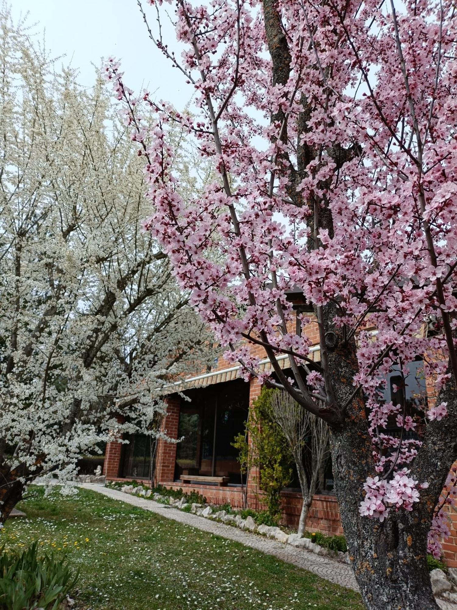 Finca Paraiso Rural Бурго-де-Осма Номер фото